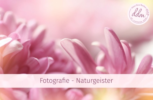 Diana Deva Marleen Foto Portfolio Naturgeister Naturliebe Marko Nature Spirit