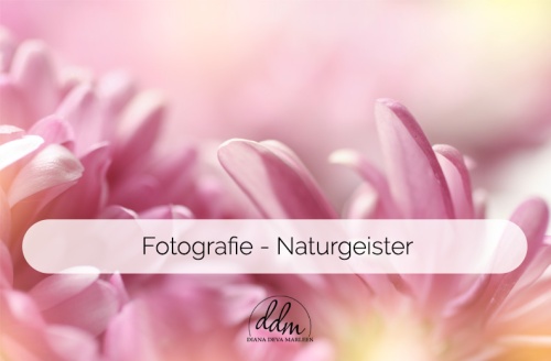 Diana Deva Marleen Foto Portfolio Naturgeister Naturliebe Marko Nature Spirit